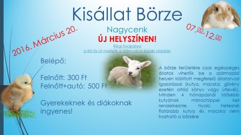 kisallat_borze.jpg